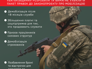 «Батьківщина» опублікувала правки до закону про мобілізацію