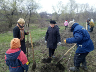 Субботники в Горьком становятся традиционными.