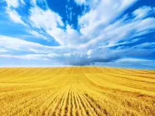 Привітання з Днем Незалежності України