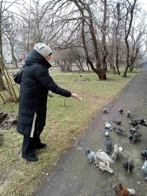 WhatsApp Image 2026-02-17кея at 09.56.47.jpeg